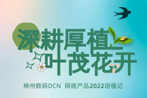 深耕厚植，叶茂花开——2022星空游戏xingkong数码DCN网络产品培植记